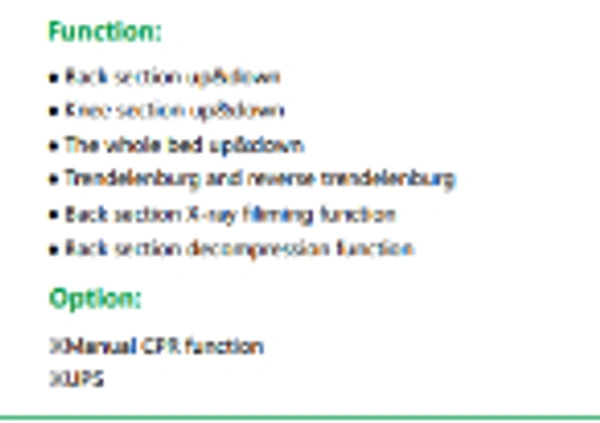 Vin Win 5 Function Electric ICU Bed